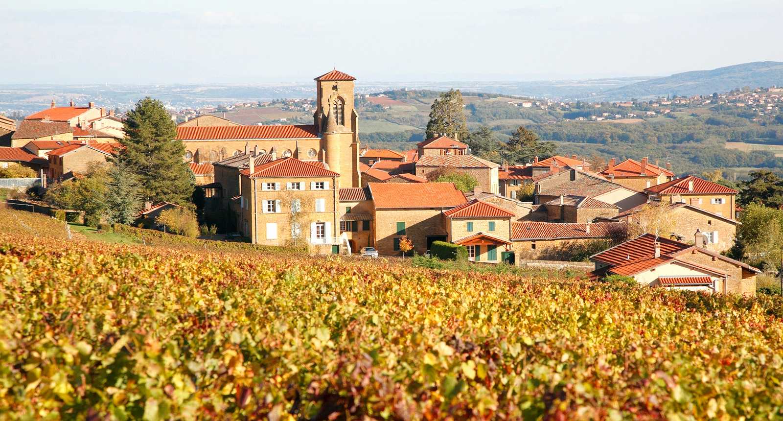 theize-in-beaujolais